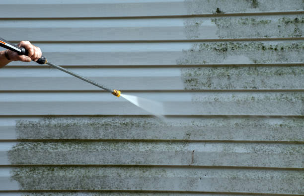 Best Dumpster Area Cleaning  in Jacksboro, TN